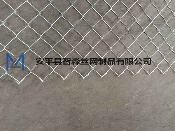 弯边煤矿勾花网图片4