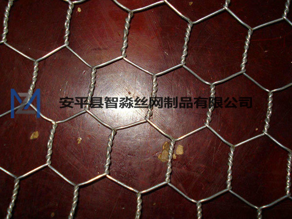 煤矿六角钢丝网图片2